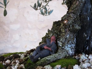 expo bonsai Bruges 2015  lotus bonsai8