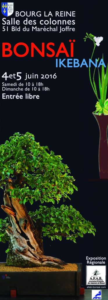 expo bonsai bourg la reine