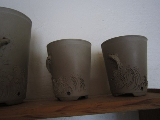 pot bonsai singe ouistiti 3