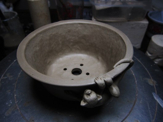 pot bonsai singe ouistiti