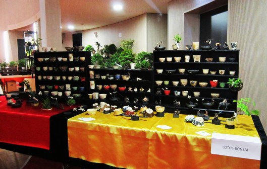 lotus bonsai expo mulhouse 3