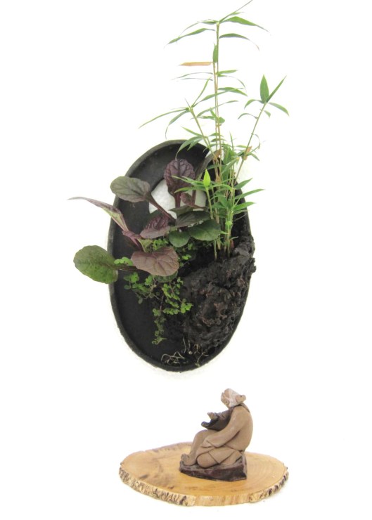 lotus bonsai penjing