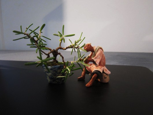 expo-national-bonsai-mame