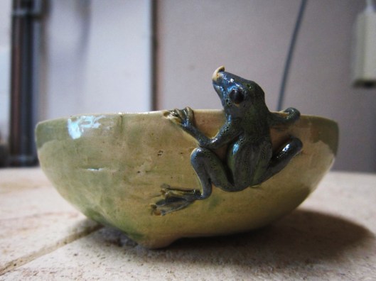 pot-grenouille-bonsai