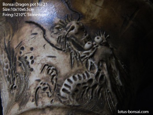 bonsai-dragon-pot-no21b