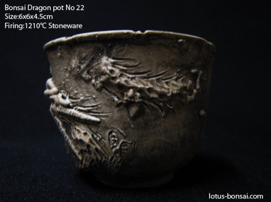 bonsai-dragon-pot-no22c