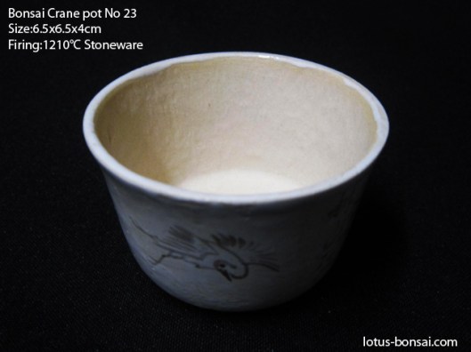 bonsai-dragon-pot-no23b