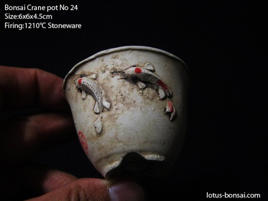 bonsai-dragon-pot-no24c