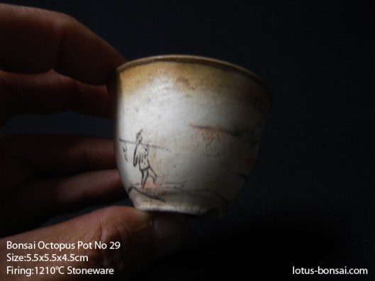 bonsai-lotus-pot-no-29c