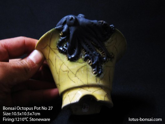 bonsai-ocotpus-pot-no-27b