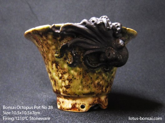 bonsai-ocotpus-pot-no-28