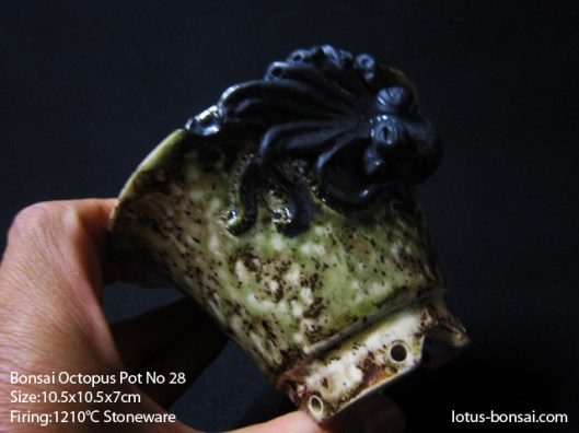 bonsai-ocotpus-pot-no-28d