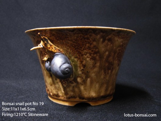 bonsai-snail-pot-no19