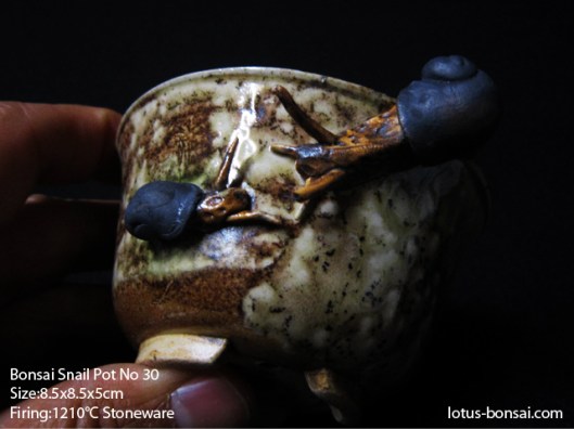 bonsai-snail-pot-no30b