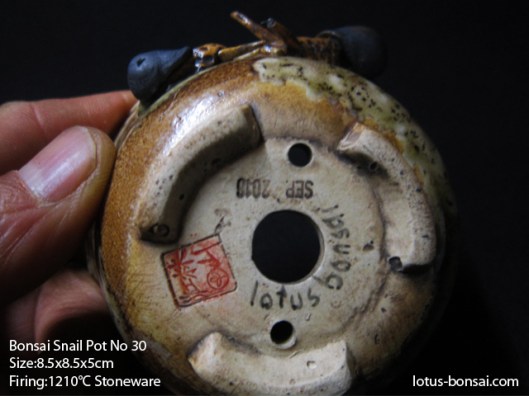 bonsai-snail-pot-no30c