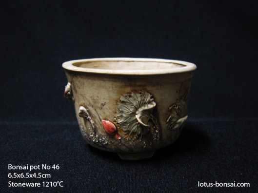 bonsai-lotus-pot-no-46