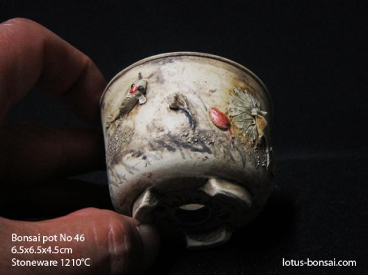 bonsai-lotus-pot-no-46c