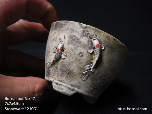 bonsai-lotus-pot-no-47