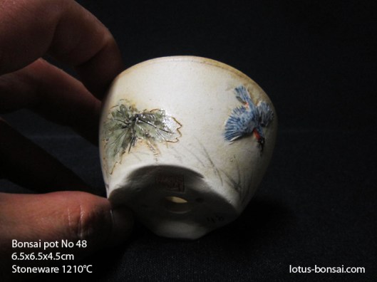 bonsai-lotus-pot-no-48