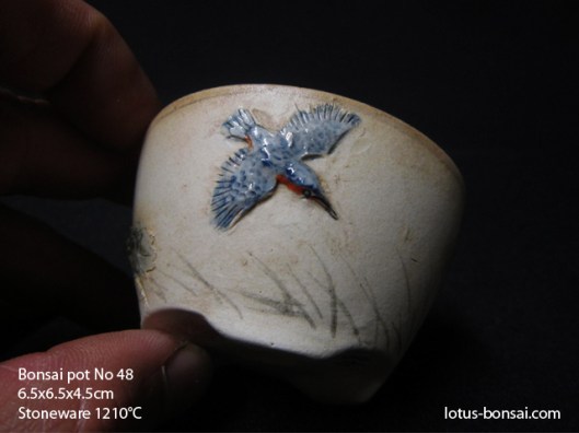 bonsai-lotus-pot-no-48b