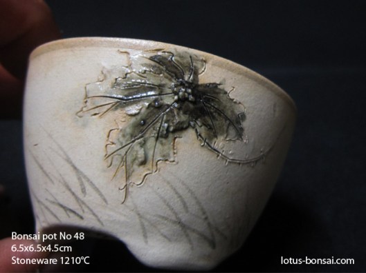 bonsai-lotus-pot-no-48c