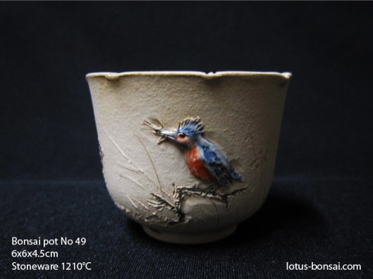 bonsai-lotus-pot-no-49