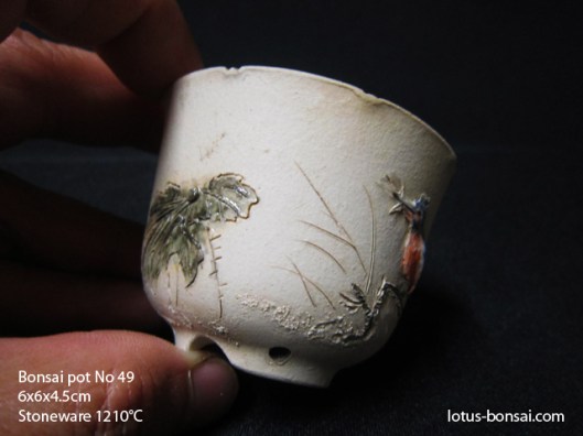 bonsai-lotus-pot-no-49b