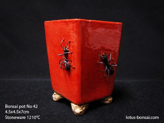 bonsai-pot-ant-fourmi-no-42