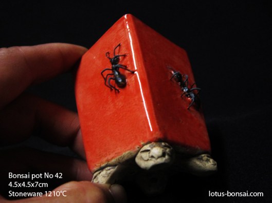 bonsai-pot-ant-fourmi-no-42c