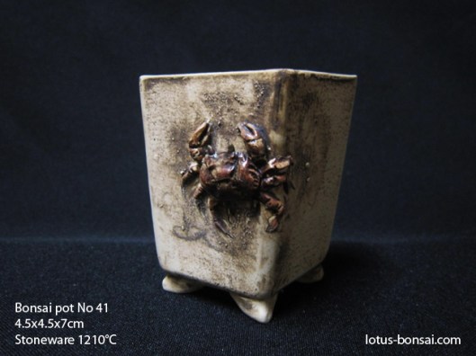 bonsai-pot-crab-no-41