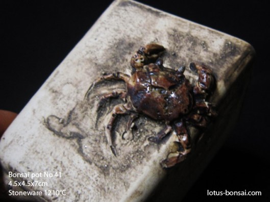 bonsai-pot-crab-no-41b