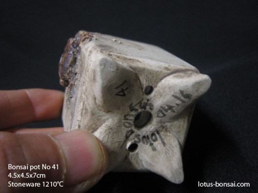 bonsai-pot-crab-no-4c
