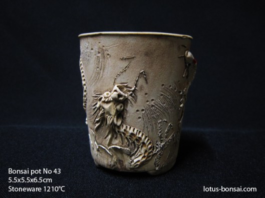 bonsai-pot-dragon-no-43
