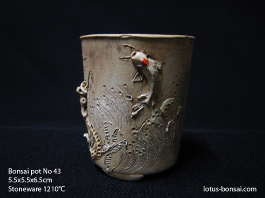 bonsai-pot-dragon-no-43b