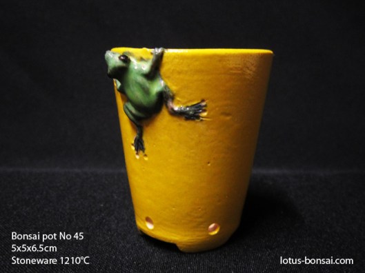 bonsai-pot-frog-no-45