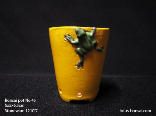 bonsai-pot-frog-no-45b