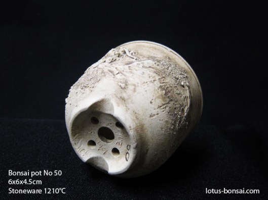 bonsai-pot-no-50c