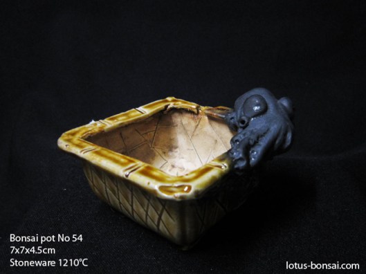 bonsai-pot-no-54
