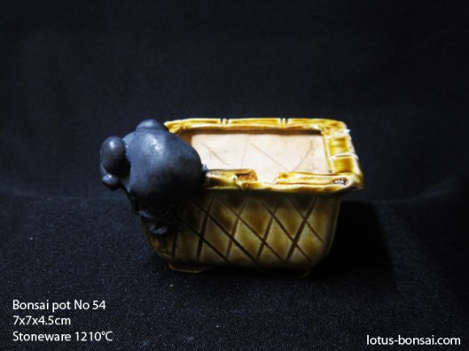 bonsai-pot-no-54c