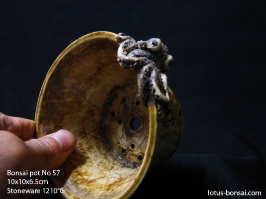 bonsai-pot-no-57b