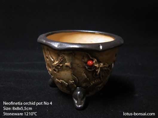 neofinetia-orchide-pot-lotus-bonsai-4