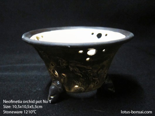 neofinetia-orchide-pot-lotus-bonsai