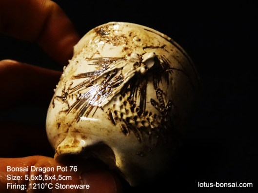 bonsai-dragon-pot-76b