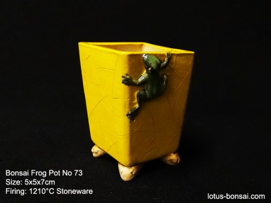 bonsai-frog-pot-73b