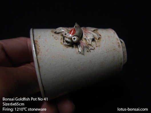 bonsai-goldfish-pot-41