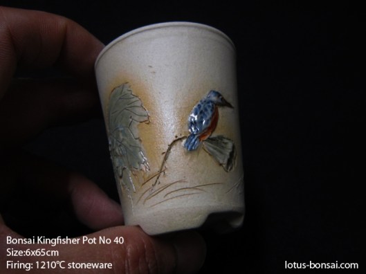 bonsai-kingfisher-pot-40