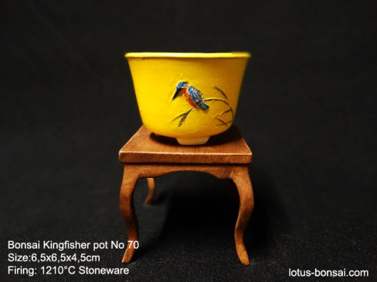 bonsai-kingfisher-pot-70