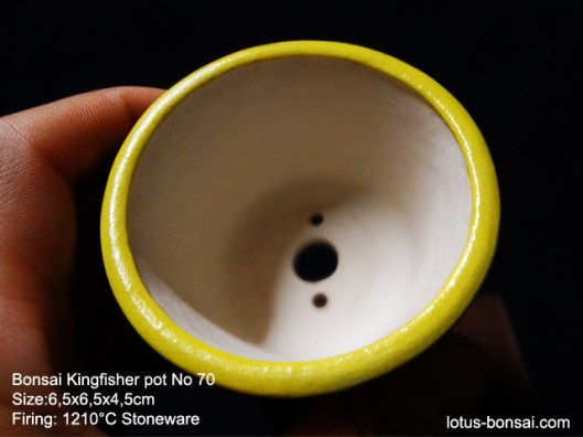 bonsai-kingfisher-pot-70c