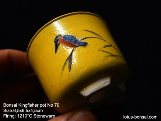 bonsai-kingfisher-pot-70e