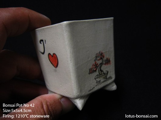 bonsai-love-pot-42